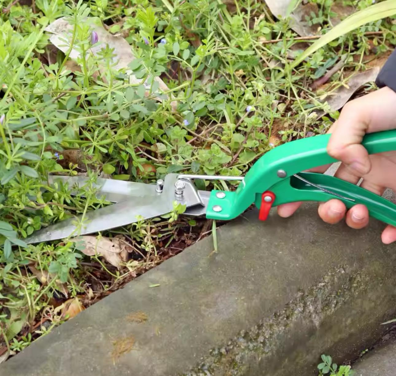 Kit De Jardinería 10 Pzs + Estuche P/ Indoor Outdoor Jardín